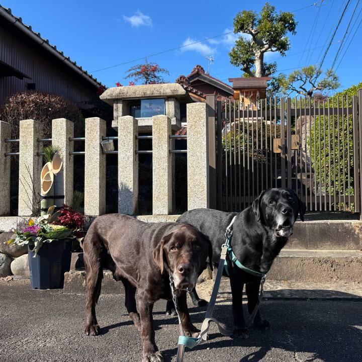 01a2dcca 8c92 43a6 bf82 63dc459e4b04 1767264354173