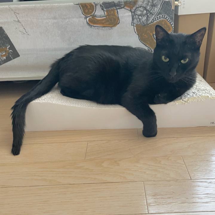 01a3238b 0b34 4d7d bd54 3bfb426bc51d 1657458658277