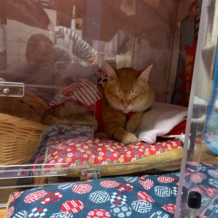 01a32bf2 6111 42f8 88d8 71bfd59cdc61 1579361805537