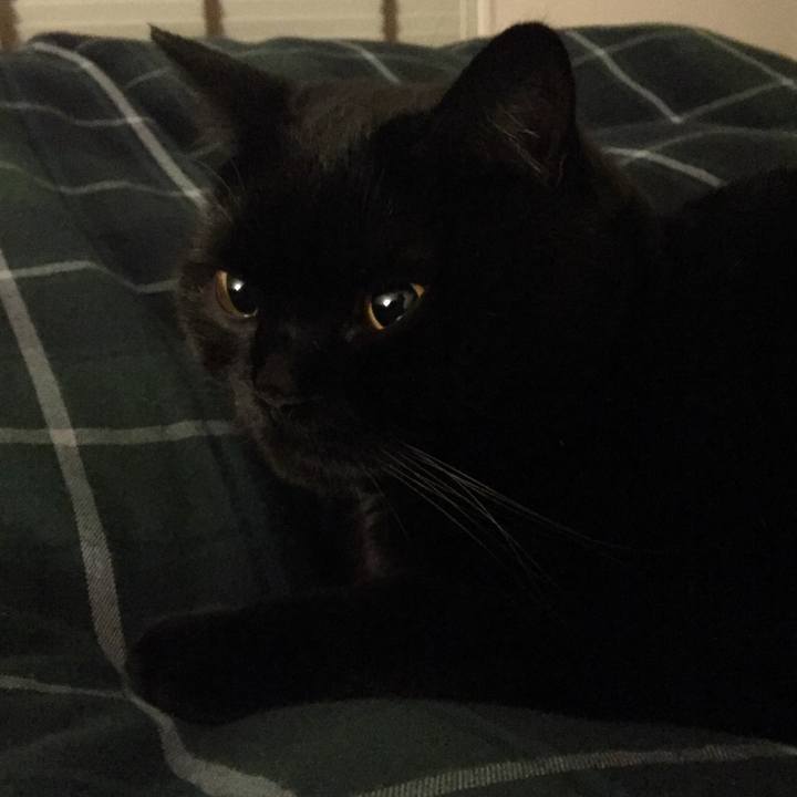 01a32e89 742b 45ec bdd6 1de3da38d445 1542806314543