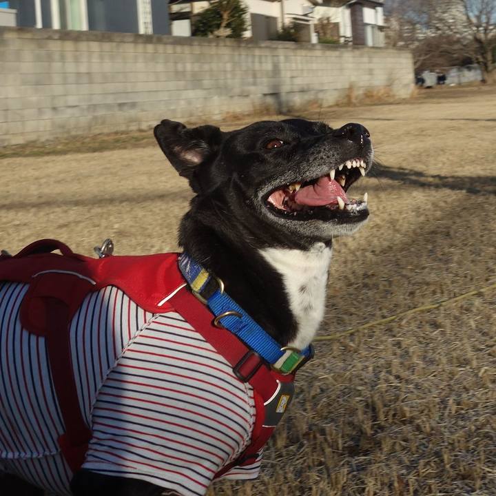 01a34ef6 dc38 48c7 873e d0ba5c1decbd 1673490049221