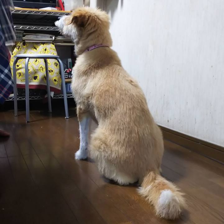 01a368d5 0821 46bd 9407 106a29b400cb 1562754456099