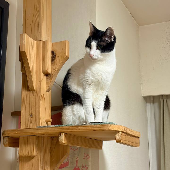 01a3aac1 4d61 401e acbe 8bce08d2be78 1768950437783