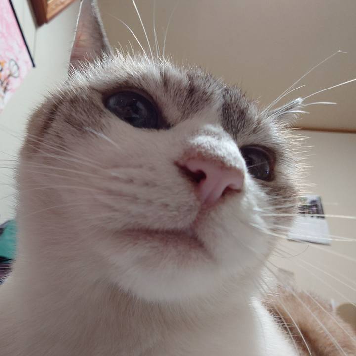 01a3df2b 9a24 4e24 9acf 57cfa2fc97fa 1727599537350