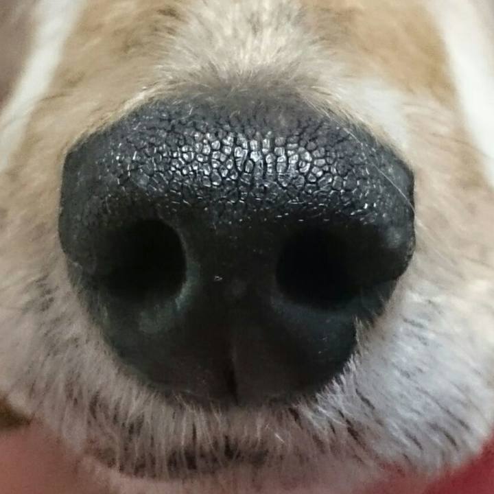 01a41e02 1927 461c 879f 6e19b7004909 1523527140576