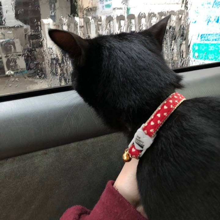 01a42c4e 1cc2 4845 9282 1d74fdce8b21 1520478028776