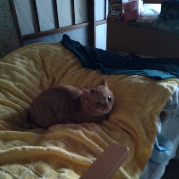 01a4501b d76b 414e a1f0 00fce93bc7b7 1671927540733