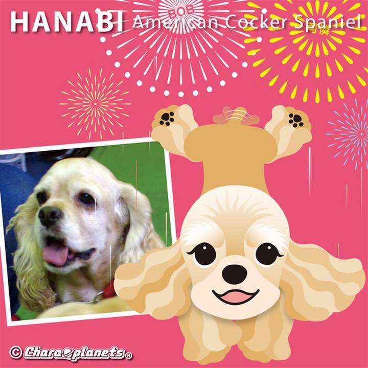 01a468be 7711 4f99 b390 7cc4a6f76ec3 1562027338936