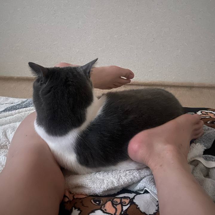 01a474eb 54aa 44dc b807 c68cc685e323 1749765471867