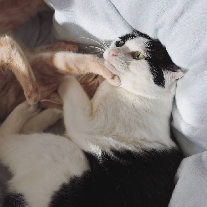 01a4b989 0583 4377 97f4 4eacd80efa7a 1545656719528