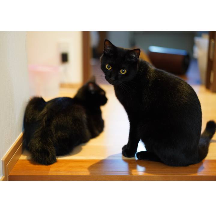 01a4cebd 148b 4f37 bffc 0e767c21be90 1570752711553