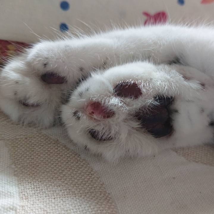 01a4d08d b735 4c92 becd 81745cbd523b 1629959383151