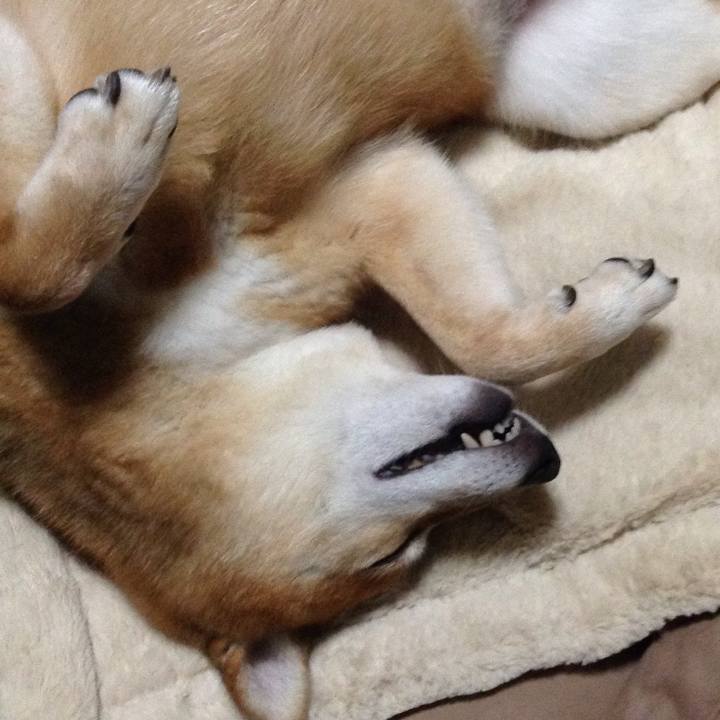 01a4d6cc d52e 498b b50e 74df6a20e37d 1539942179605