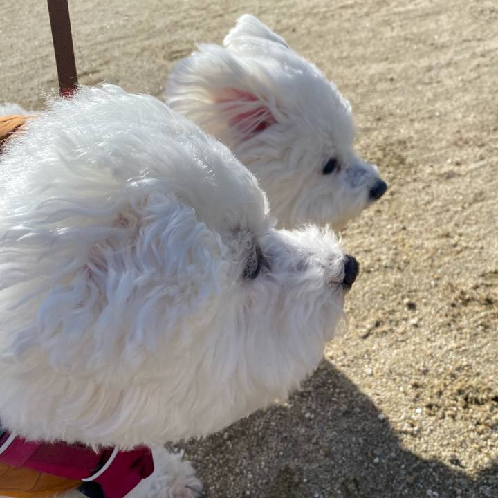 01a4d9b9 2832 4842 8140 54251e124dbb 1671327940165