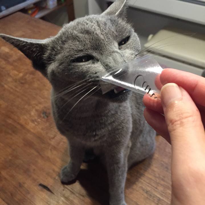 01a50293 a793 4633 bd10 8a1ab06942cd 1539049796555