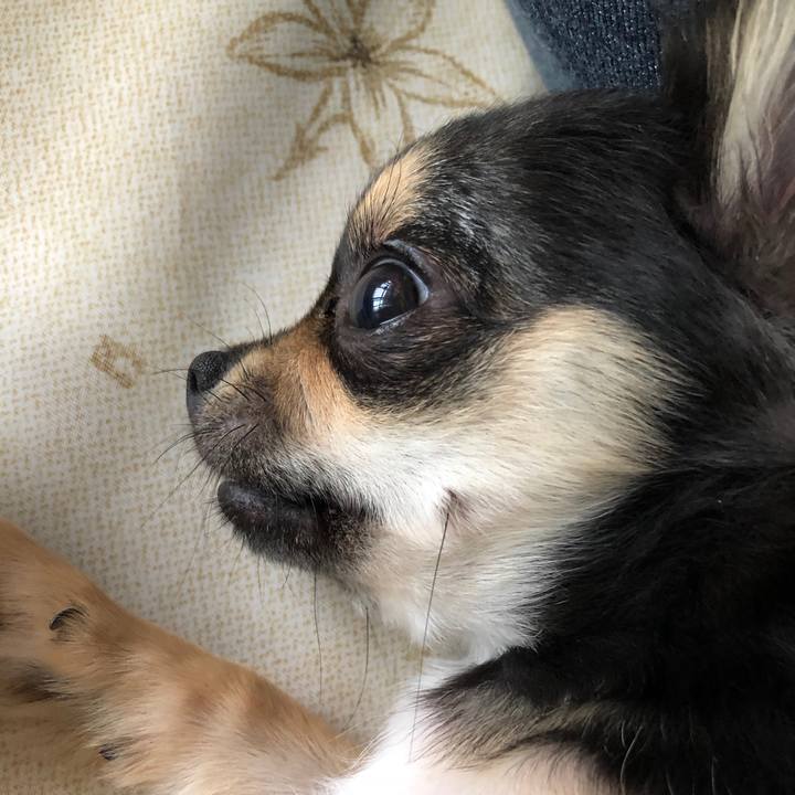 01a51714 363e 4626 9dab 54bd7293365e 1538194737753