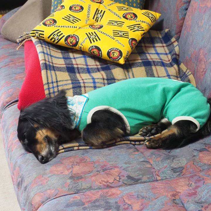 01a522e0 3ef4 40df 91fa 0e2621345e1b 1649830043048