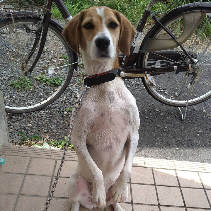 01a5247b 06d9 4b4b 9794 4dfa02ddd59b 1629953609247