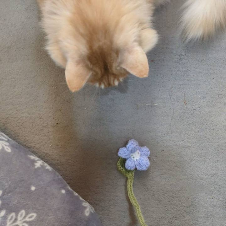 01a542d2 736d 4248 8b67 af230d8caec1 1768653363615