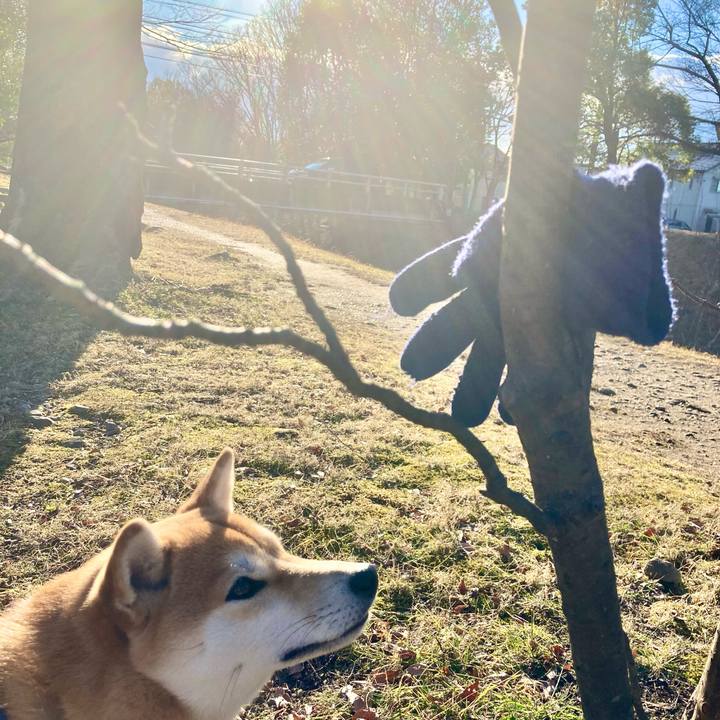 01a556b4 17a0 4a41 b410 ded84652da19 1644996418430