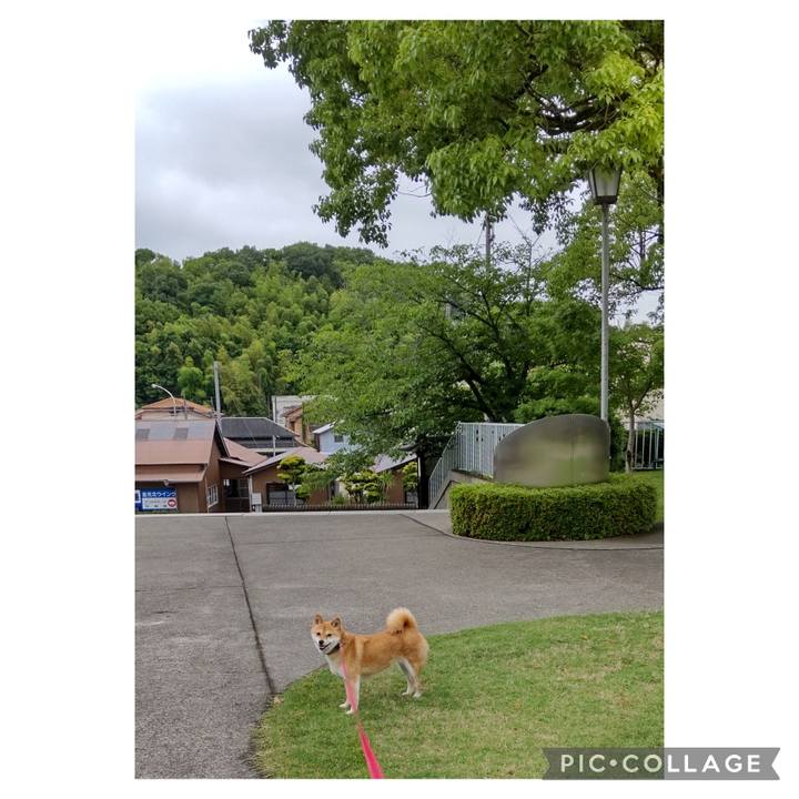 01a56487 4ec8 4344 a8cb 6f08a572c107 1718945922382