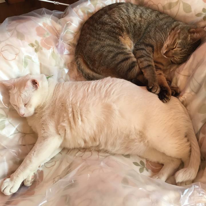 01a56569 5e17 410b 9df1 456c994ab981 1556863899679