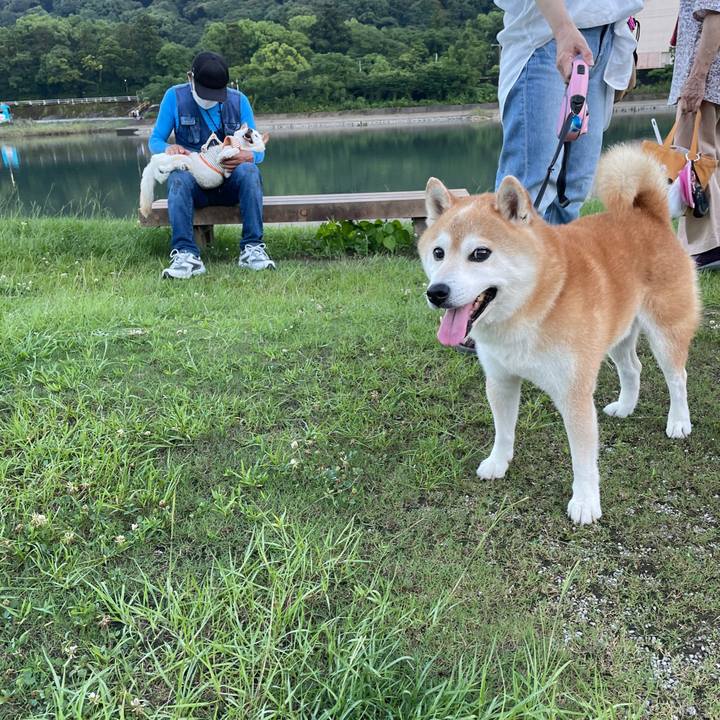 01a56e46 4629 489d 9244 4e7d53c0c899 1657110656048