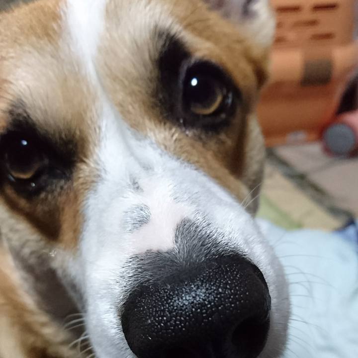 01a58762 2792 4245 9626 8646c37fee26 1577057759714