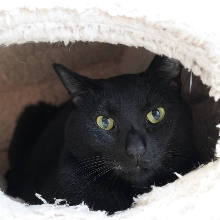 01a59109 4001 459b b744 82946537f36b 1730701060795