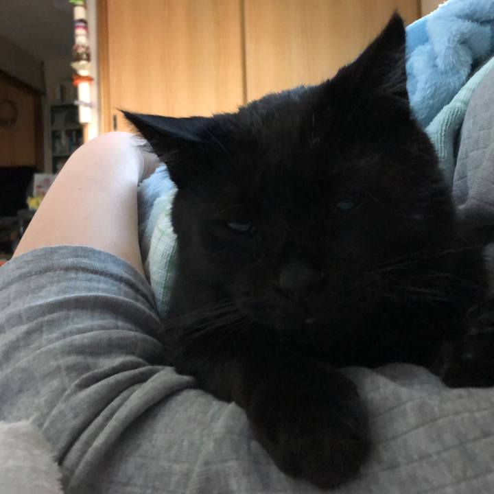 01a59d7c 159d 4332 8fd8 31c6a2fd4c5c 1562787086410