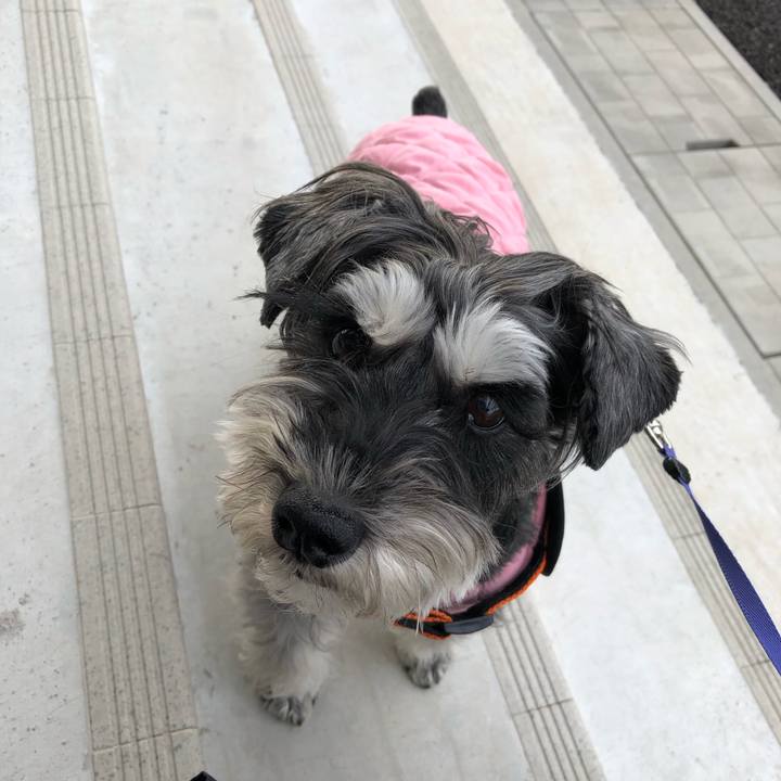 01a5aeb0 e870 40a4 a71c ad68fda07756 1704248247298