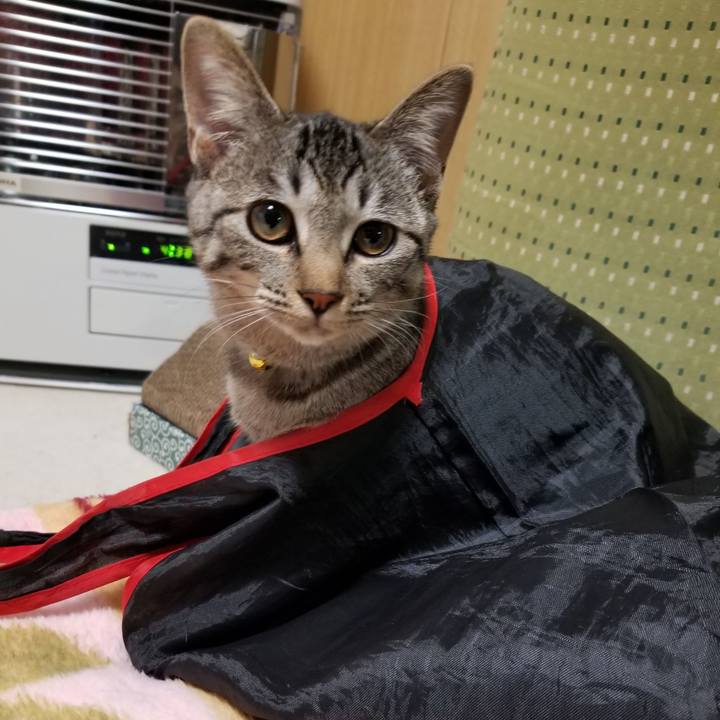 01a5c8ce 735b 4802 bdcd 22a15503b1fd 1671755770547