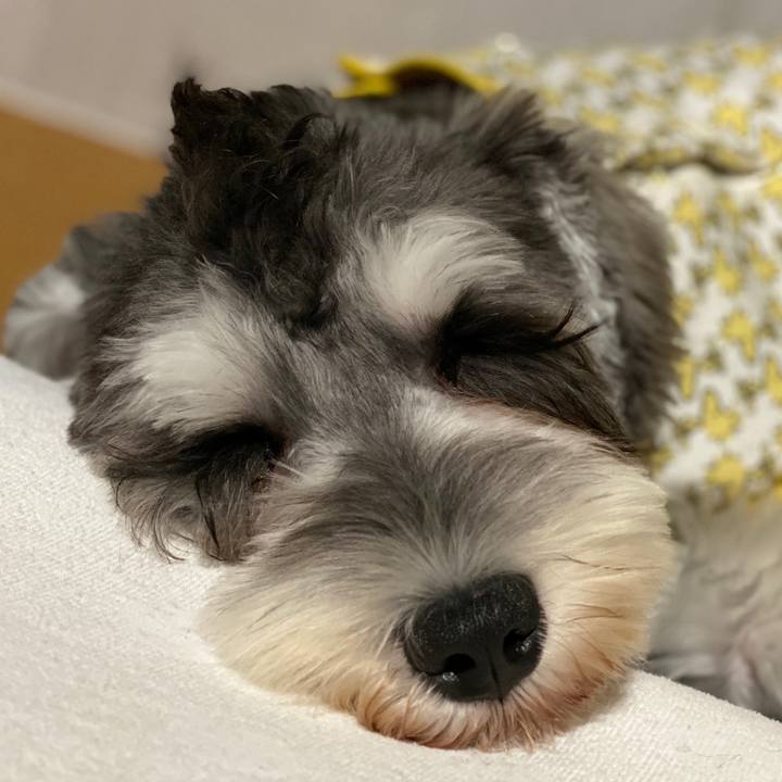 01a5d799 ba38 4da6 be17 71f4ccc1c112 1574615343382