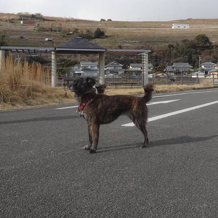 01a5e552 6523 4162 93c3 52892405e9c1 1520260053139