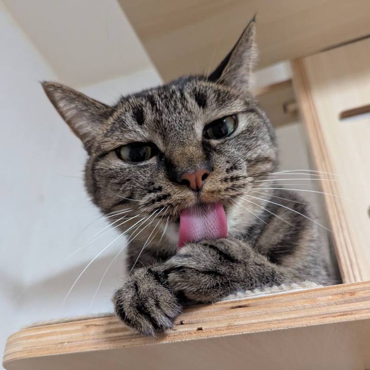 01a5e92b 6a67 4bca 9dc8 196de3160dbe 1771149388154