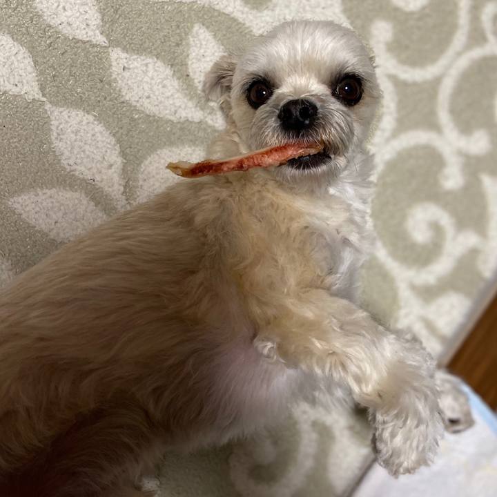 01a5ea98 cf05 471b b6b7 883acb2108a7 1577362423152