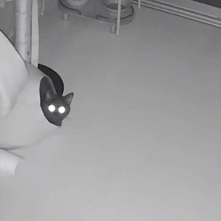 01a61080 f868 4d51 8cc0 8709ec7e04b2 1511688644387