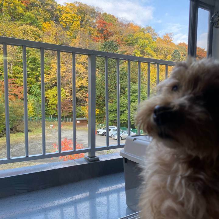 01a66948 4de2 41e4 8e43 0c31ea5f938f 1698464879158