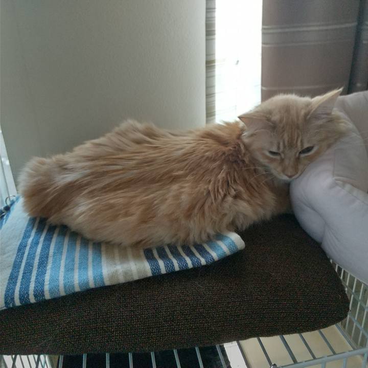 01a68e73 f0fd 4c09 a8f4 225cb082d729 1640411770935