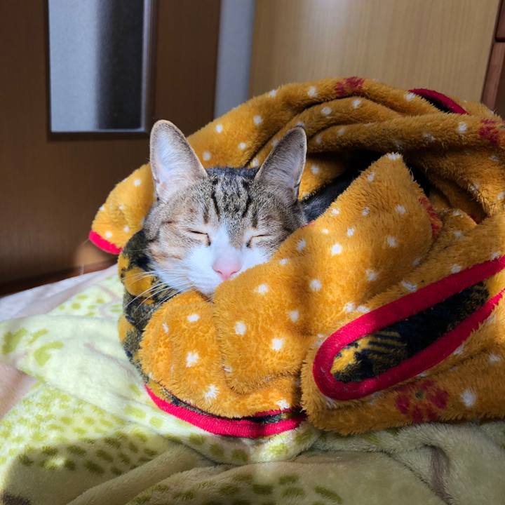 01a6a2f3 9a6d 4a1a afcb 48a59c662489 1616990753786