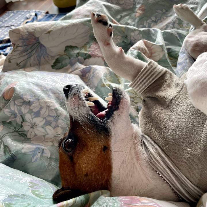 01a6d110 a83b 4616 ae1a 01eb376fcee5 1646607507389