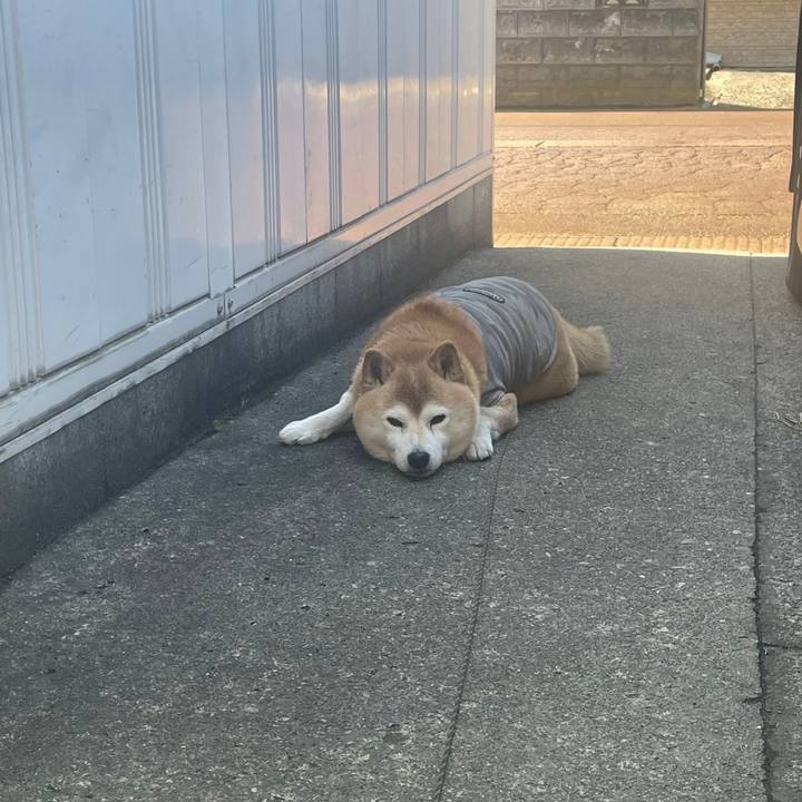 01a75fc2 f49b 4aeb 8e90 43a448b1ea6d 1679365001453