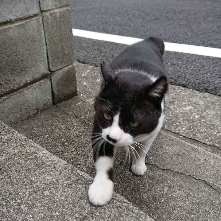 01a7654e 2bfe 4c5c 8ec5 352fee2cb820 1561253153757