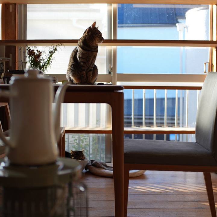 01a78d61 885c 4a04 bf7d 4d77b3fbe640 1733525319811