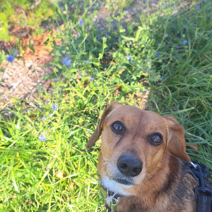 01a79da0 69d7 4839 8aa3 6fb009b95450 1761777185453