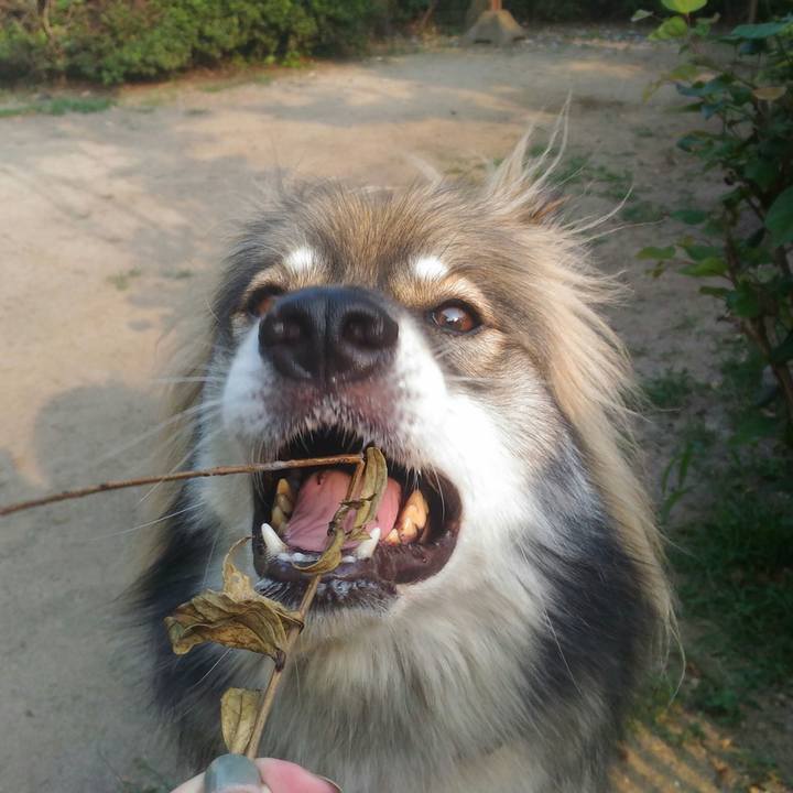 01a7de65 433d 43ff a34f 4fa48249c69a 1531902162474