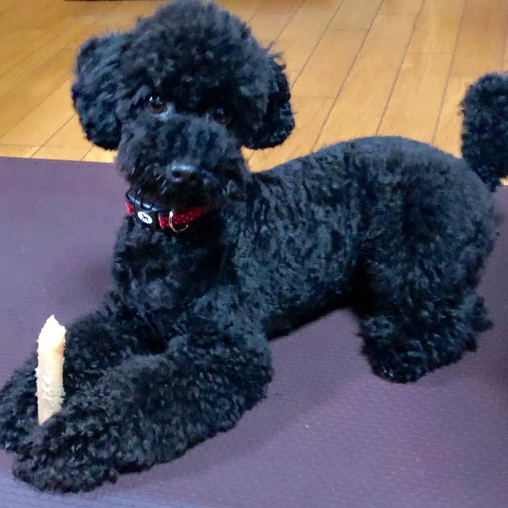 01a83f86 b9ca 48da a6b3 cb33cf6481c7 1566945000323