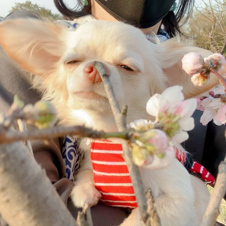 01a85f9d 0375 4b00 8b69 f78aa7a67915 1616159145174