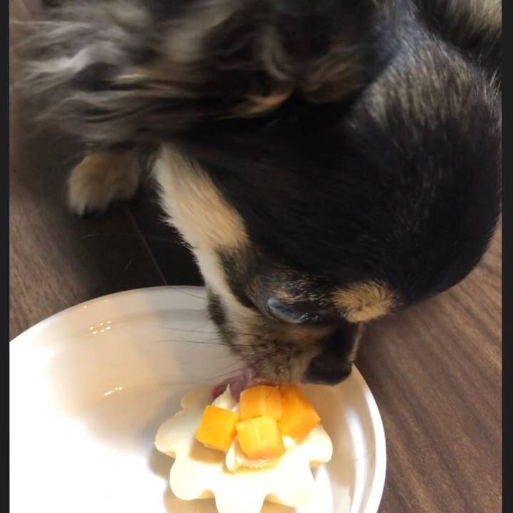 01a870b7 a954 4cf5 a5e4 8c5dbb925c68 1545658007347