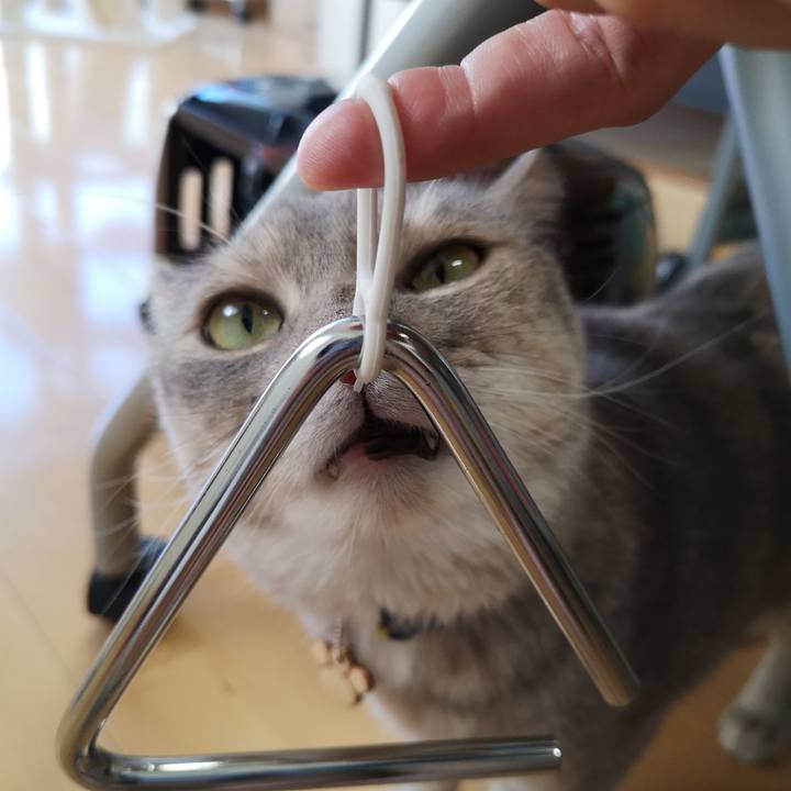 01a8833c 1d65 43f6 9f85 4f483ef1c601 1564457821882